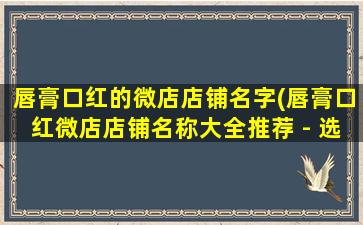 唇膏口红的微店店铺名字(唇膏口红微店店铺名称大全推荐 - 选购最适合您的口红品牌)